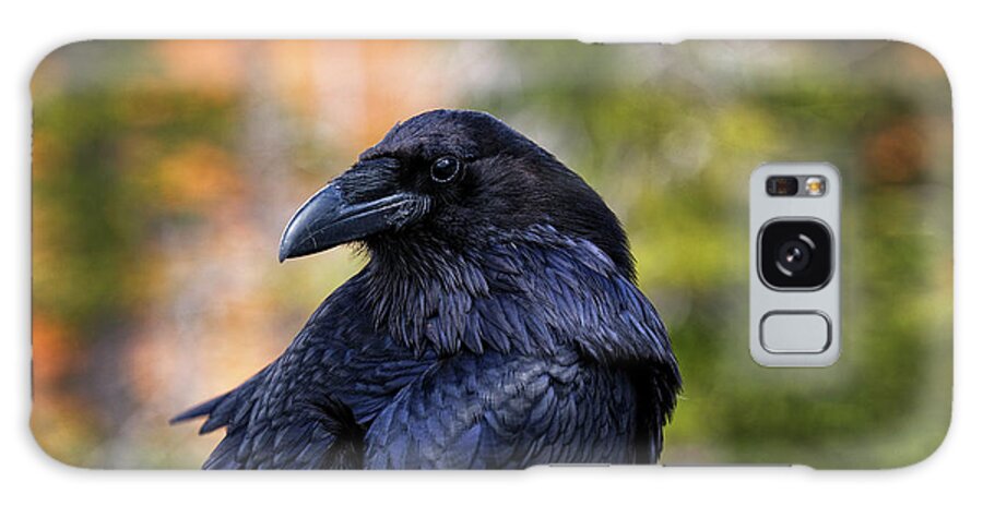 Close Up Galaxy Case featuring the photograph Raven Looking Backwards by Robert C Paulson Jr