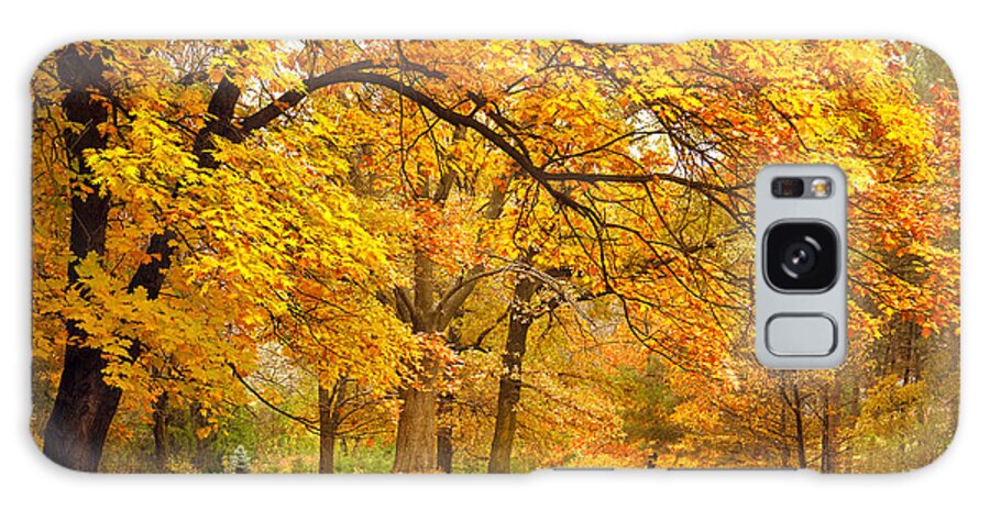 Country Galaxy Case featuring the photograph Collection Of Beautiful Colorful Autumn by Taiga