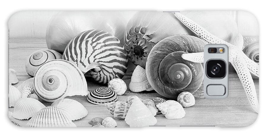 Collection Of Shells Bw Galaxy Case featuring the photograph Collection Of Shells Bw by Tom Quartermaine