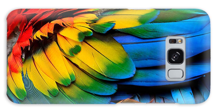 Feather Galaxy Case featuring the photograph Colorful Of Scarlet Macaw Birds by Super Prin