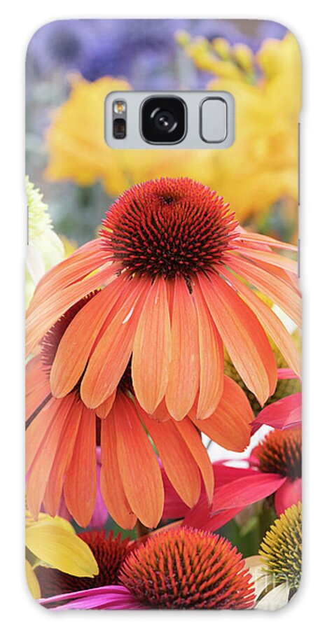 Echinacea Cheyenne Spirit Galaxy Case featuring the photograph Colourful Echinacea by Tim Gainey