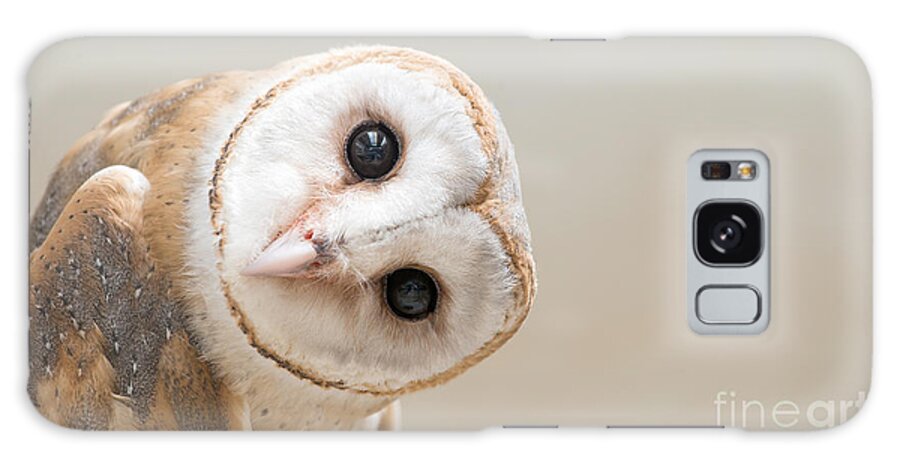 Studio Galaxy Case featuring the photograph Common Barn Owl Tyto Albahead Head by Anan Kaewkhammul
