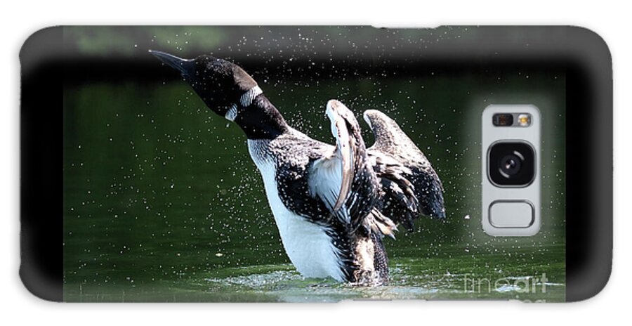 Common Loon Galaxy Case featuring the photograph Common Loon Stretching by Sandra Huston