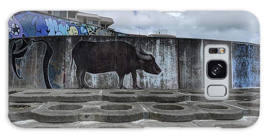 Graffiti Galaxy Case featuring the photograph Concrete Bull by Eric Hafner