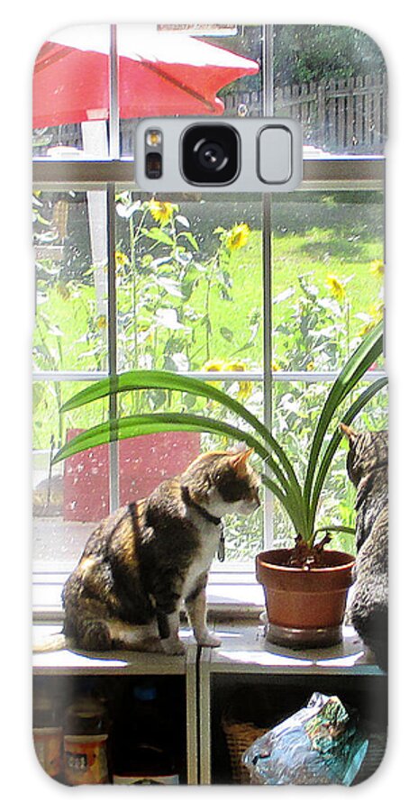 Cats At The Window Galaxy Case featuring the photograph Contempt Prior to Investigation by David Zimmerman