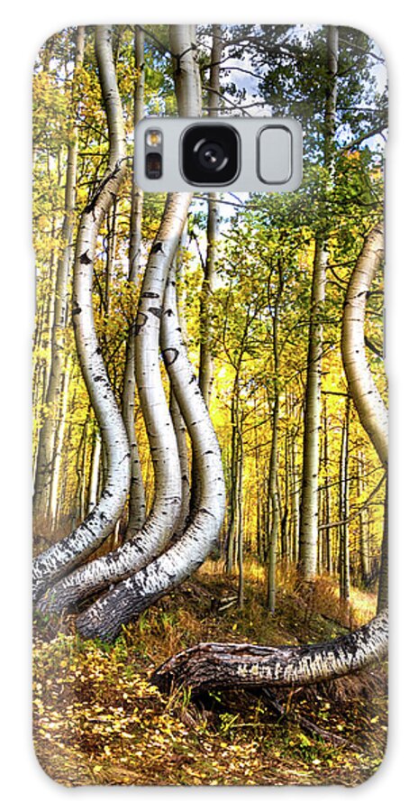 Telluride Galaxy Case featuring the photograph Convoluted Aspens by Norma Brandsberg