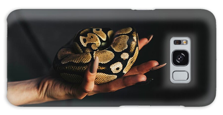 Snake Galaxy Case featuring the photograph Convoluted Snake In Woman Hand. Ball Python Butterfire Spider As Pet. by Cavan Images