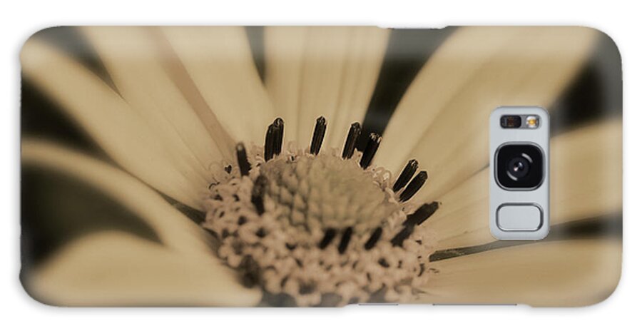 Flower Galaxy Case featuring the photograph Cosepia03 by Gordon Semmens