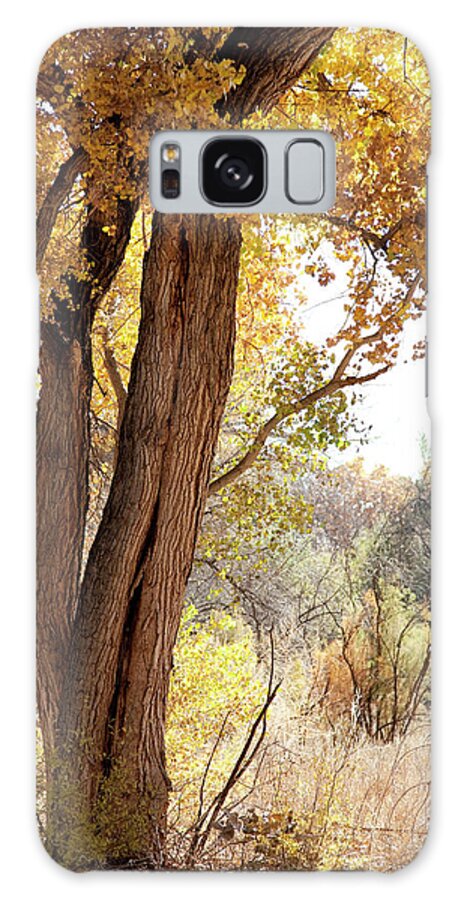 Scenics Galaxy Case featuring the photograph Cottonwood Tree In Fall, New Mexico, Usa by Duckycards