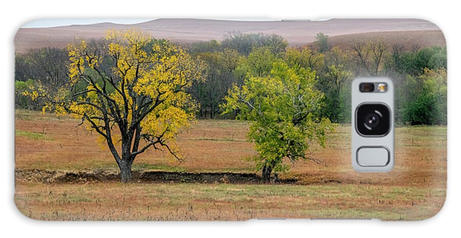 Brown Galaxy Case featuring the photograph Cottonwood Trees In The Flint Hills by Michael Scheufler