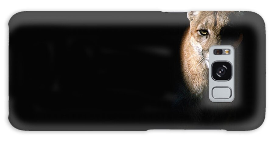 One Animal Galaxy Case featuring the photograph Cougar Felis Concolor, Aka Puma Or by Mark Newman