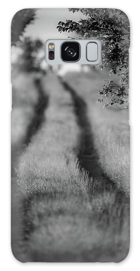 Black And White Galaxy Case featuring the photograph Country Lane by Jeff Phillippi