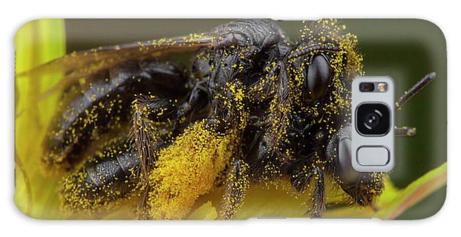 Love Galaxy Case featuring the photograph Couple Of Little Honey Bees Making Love Into Lots Of Yellow Pollen by Cavan Images