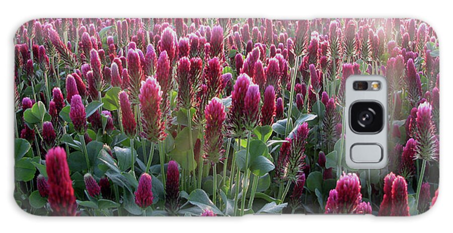Fields Galaxy Case featuring the photograph Crimson Clover Fields by Rich Collins
