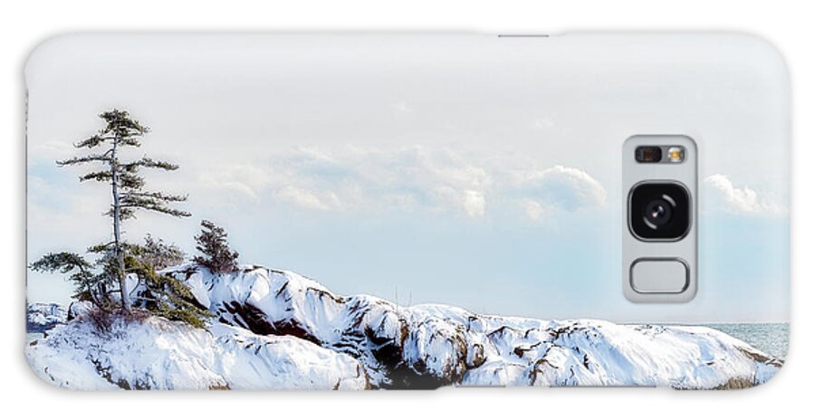 Winter Light Galaxy Case featuring the photograph Crow Island, Winter Light by Michael Hubley
