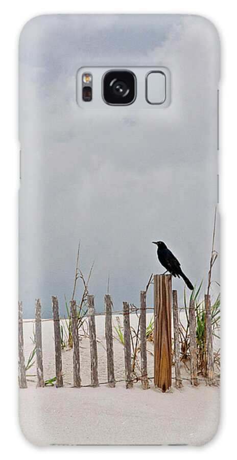 Sand Dune Galaxy Case featuring the photograph Crow On Dune Fence by Kelley Nelson