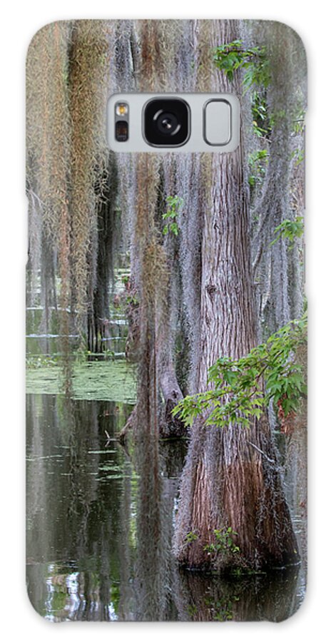Cypress Galaxy Case featuring the photograph Cypress Bog by Dorothy Cunningham