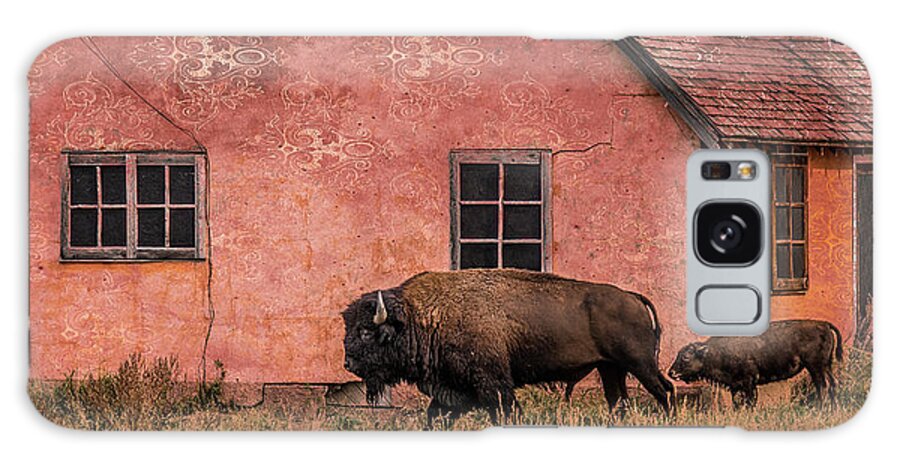 Bison Galaxy Case featuring the photograph Daddy's Home by Mary Hone