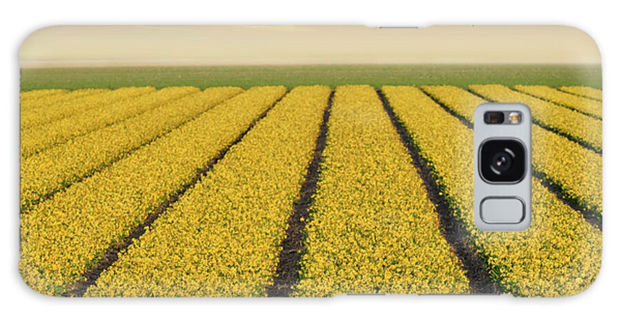 Daffodil Fields Galaxy Case featuring the photograph Daffodil Fields by Cora Niele