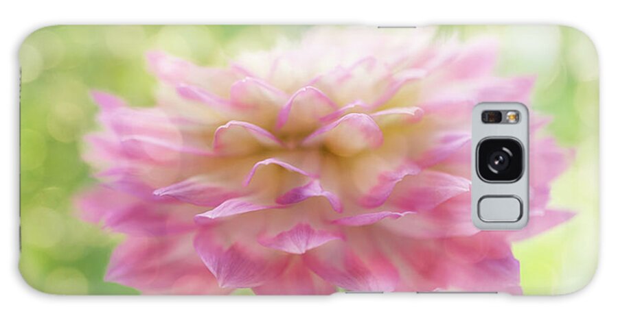 Dahlia In Backlight Galaxy Case featuring the photograph Dahlia In Backlight by Cora Niele