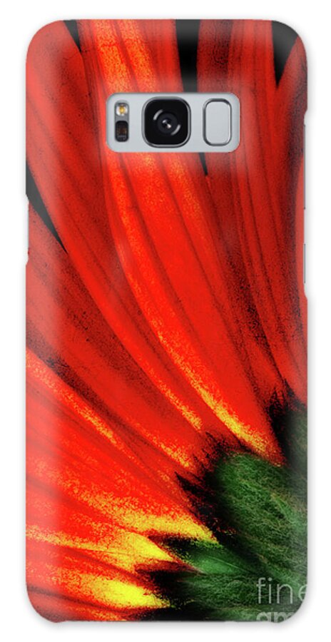 Gerbera Daisy Galaxy S8 Case featuring the photograph Daisy Aflame by Anita Pollak