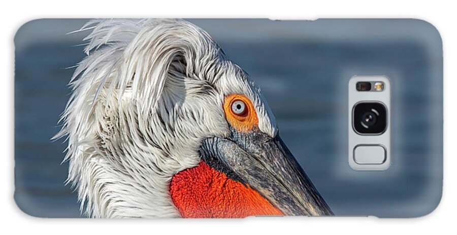 Animal Galaxy Case featuring the photograph Dalmatian pelican portrait - Pelecanus crispus by Jivko Nakev