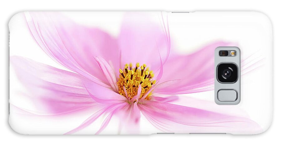 Dancing Flower Pink Cosmos Galaxy Case featuring the photograph Dancing Flower Pink Cosmos by Cora Niele