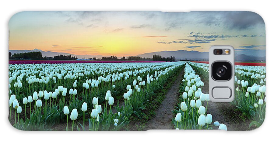 Skagit Valley Galaxy Case featuring the photograph Dawns Early Light by Beve Brown-Clark Photography