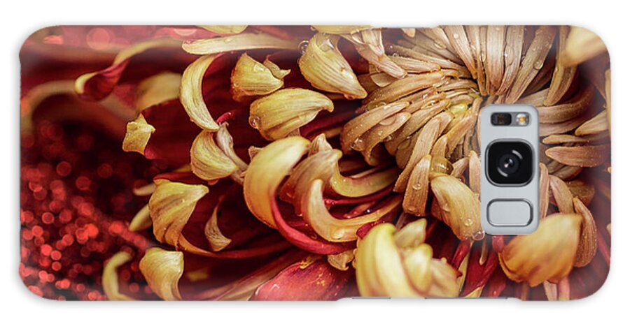 Petals Galaxy Case featuring the photograph Dazzle and Dewdrops by Vanessa Thomas