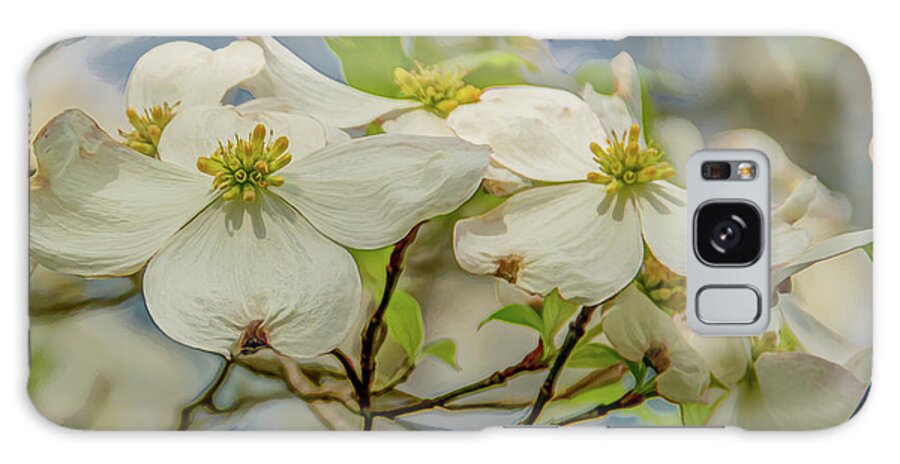 Dogwood Blossoms Galaxy Case featuring the photograph Delicate Dogwoods by Marcy Wielfaert