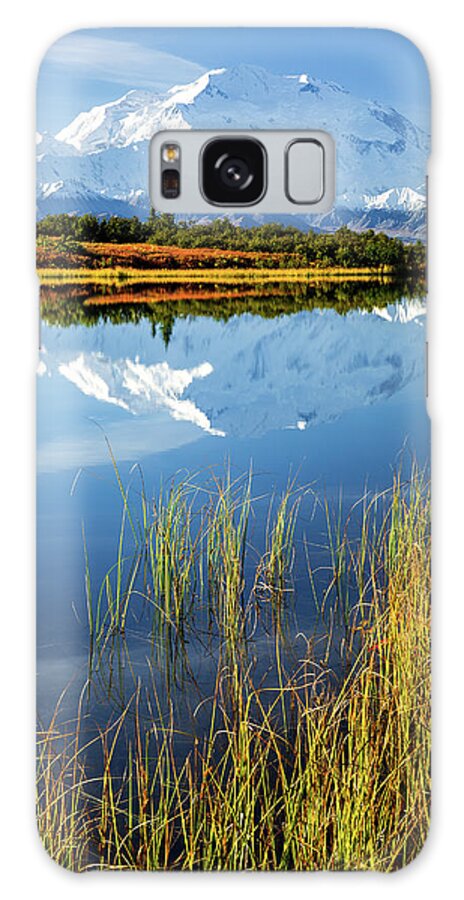 Denali Galaxy S8 Case featuring the photograph Denali Reflection by Tim Newton