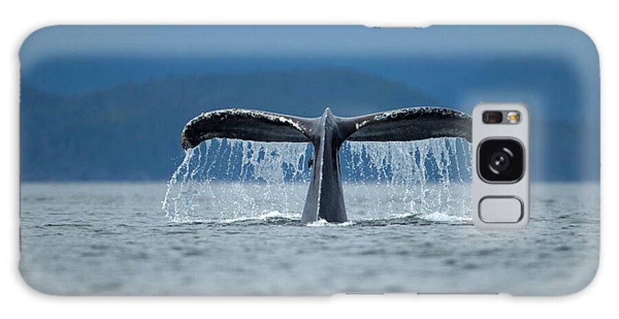 Diving Into Water Galaxy Case featuring the photograph Diving Humpback Whale, Alaska by Paul Souders