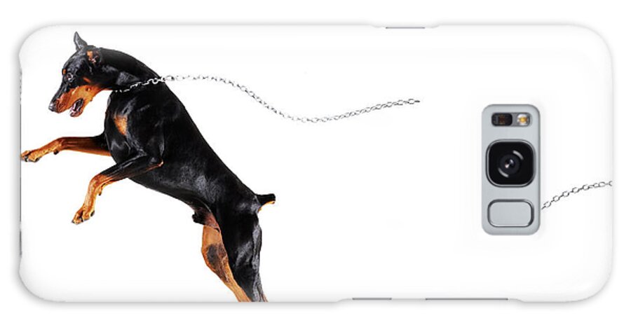Pets Galaxy Case featuring the photograph Doberman Breaking Chain And Running Away by Thomas Northcut