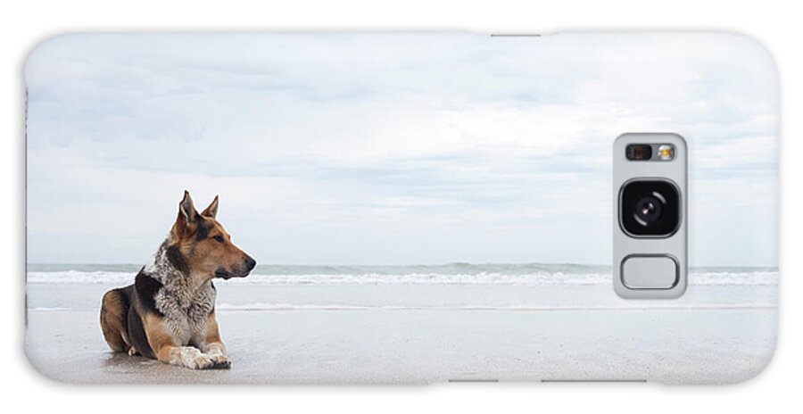 Water's Edge Galaxy Case featuring the photograph Dog Resting On The Beach by Virginia Zozaya