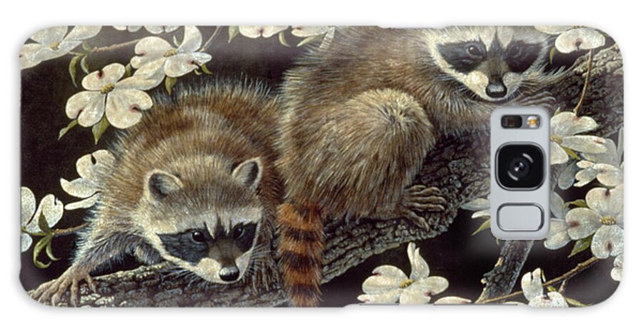 Two Young Raccoons In A Flowering Dogwood Tree Galaxy Case featuring the painting Dogwood Hideout - Young Raccoons by Wilhelm Goebel