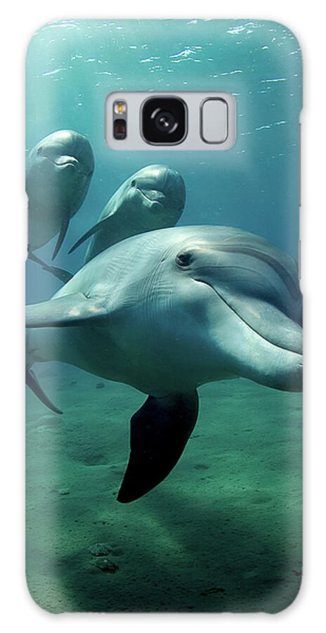 Underwater Galaxy Case featuring the photograph Dolphin Flight by Art-design-photography.com