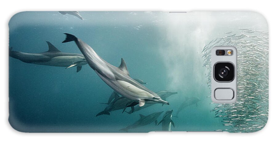 Underwater Galaxy Case featuring the photograph Dolphins Attack by Dmitry Miroshnikov