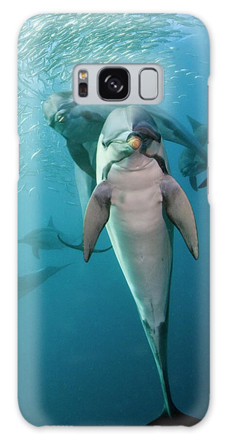 Underwater Galaxy Case featuring the photograph Dolphins by Dmitry Miroshnikov