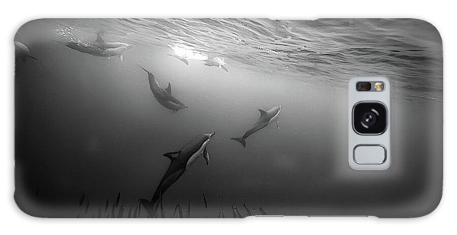 Underwater Galaxy Case featuring the photograph Dolphins Re-grouping Afterorchestrated by Paul Cowell Photography