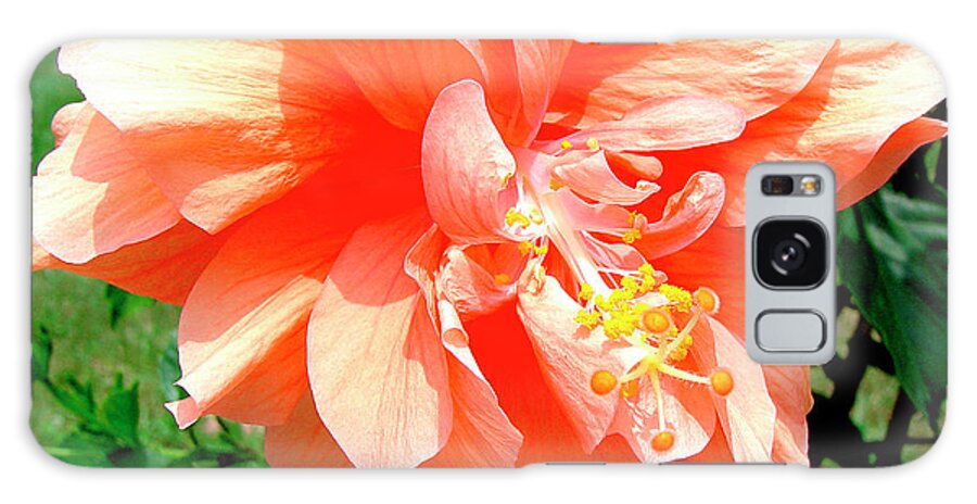 Double Hibiscus Galaxy Case featuring the photograph Double Hibiscus by Audrey