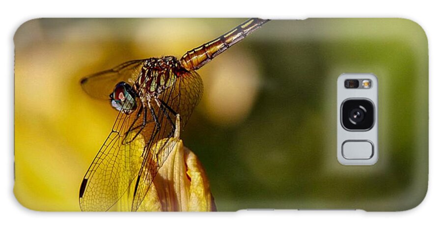 Dragonfly Galaxy S8 Case featuring the photograph Dragonfly in the Limelight by Susan Rydberg