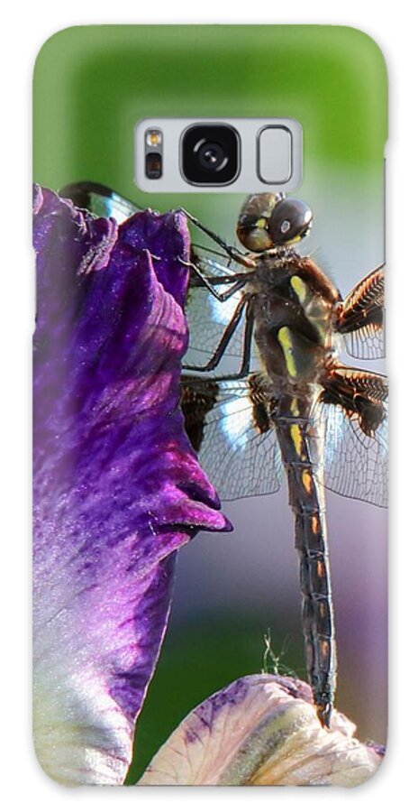 Beautiful Galaxy S8 Case featuring the photograph Dragonfly on Iris by Susan Rydberg