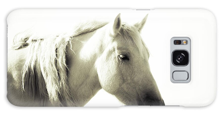 Wild Horses Galaxy Case featuring the photograph Dreamy mare by Mary Hone
