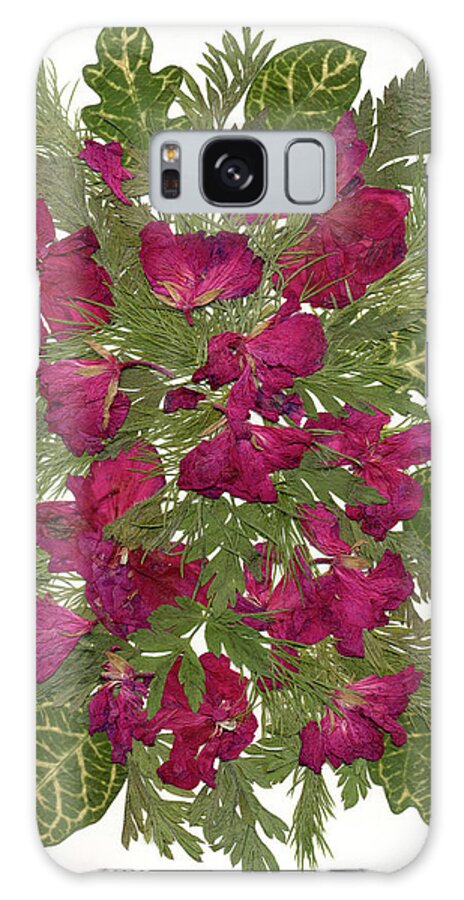 Dried Pelargonium Galaxy Case featuring the painting Dried Pelargonium by Dryflowersart