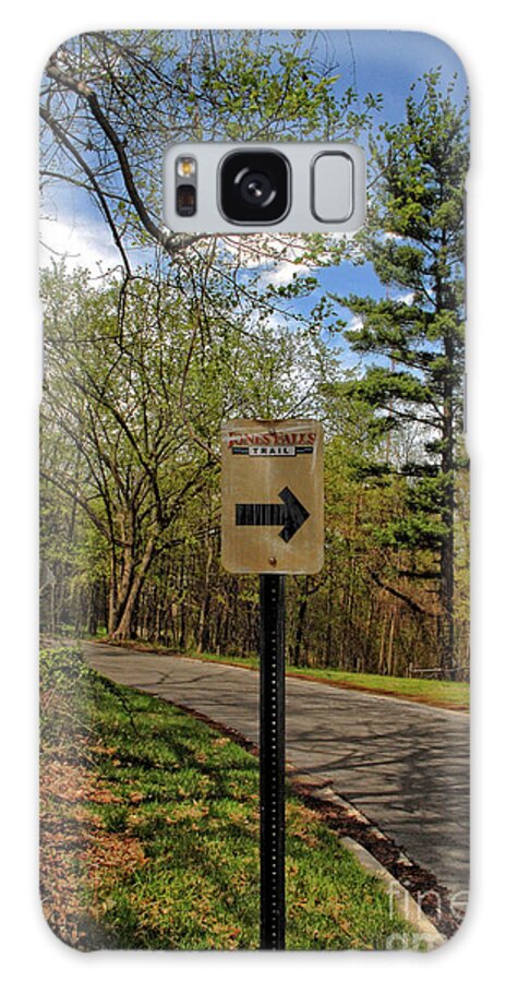 Nature Galaxy Case featuring the photograph Druid Hill Park Road 1 by Walter Neal