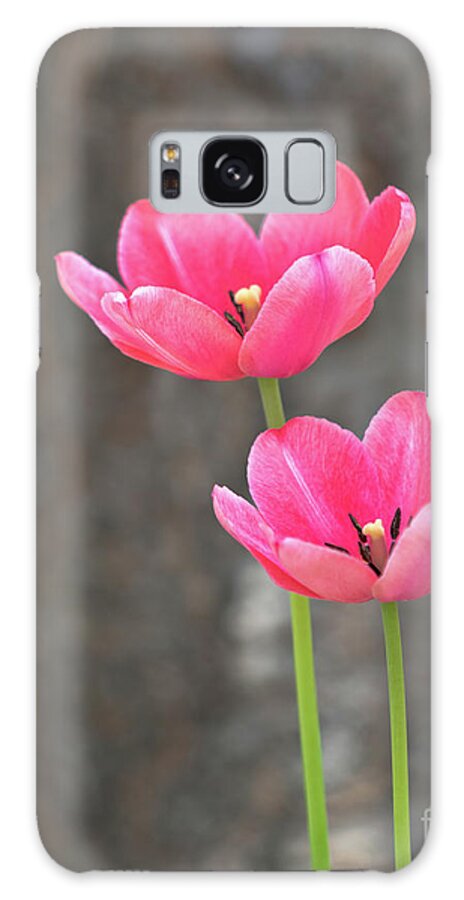 Pink Galaxy Case featuring the photograph Duet by Phil Spitze