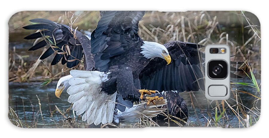 Bald Eagles Galaxy Case featuring the photograph Eagle Dance by Randy Hall