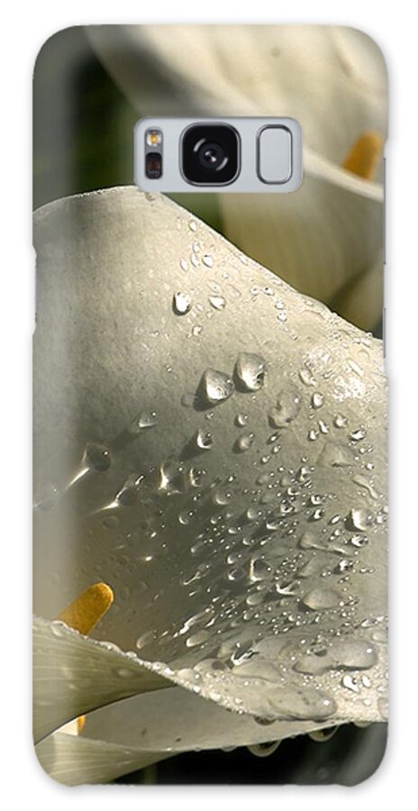 Botanical Galaxy Case featuring the photograph Easter Rain by Richard Thomas