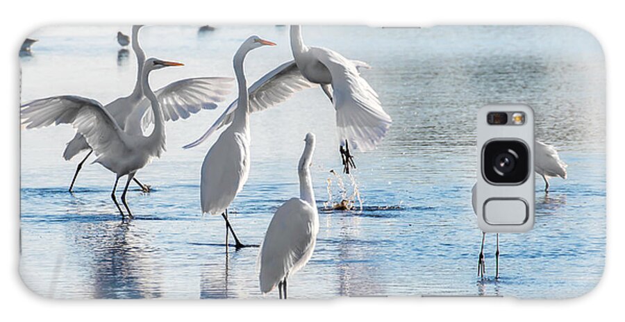 Birds Galaxy Case featuring the photograph Egret Ballet 1400 by Donald Brown