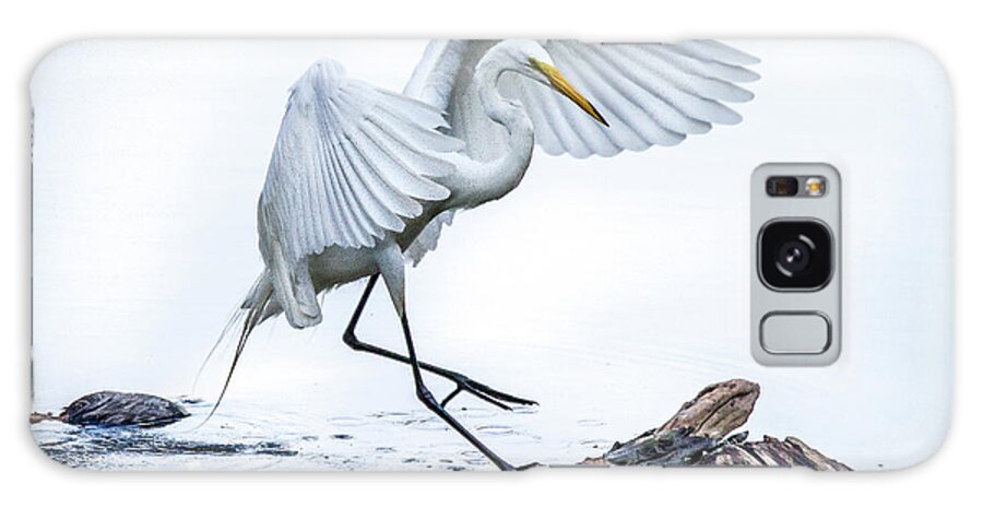 Grand Lake Galaxy Case featuring the photograph Egret Ballet by David Wagenblatt
